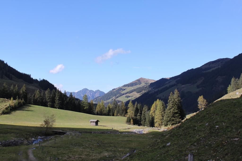 Gaestehaus Woell Alpbach Ngoại thất bức ảnh